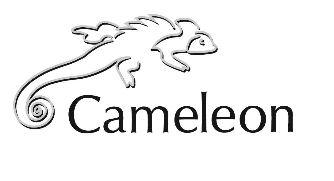 (c) Cameleon-lakspuiterij.nl